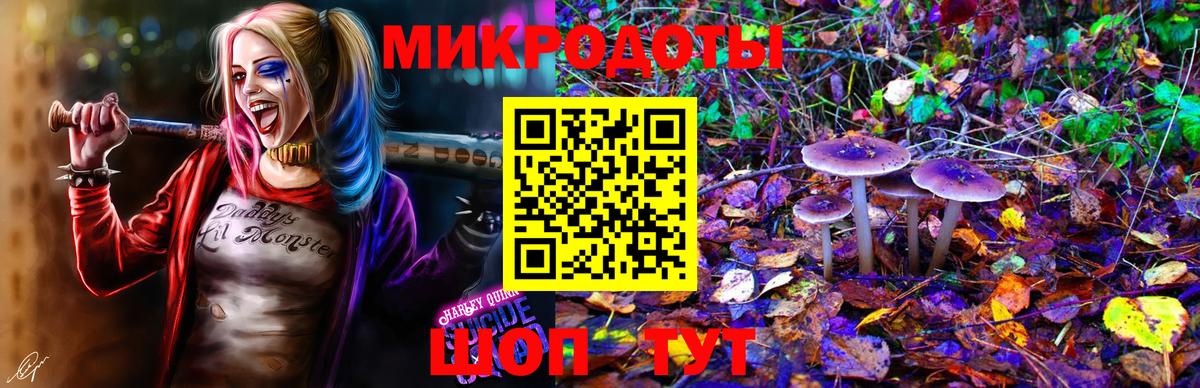 Псилоцибиновые грибы мухоморы  Вход с VPN  Нерюнгри 